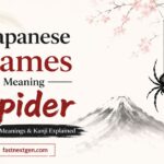 japanese-names-meaning-spider-origins-meanings-and-kanji-explained