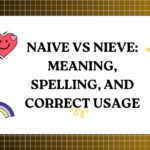 Naive vs Nieve Meaning, Spelling, and Correct Usage