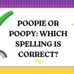 Poopie or Poopy Which Spelling Is Correct