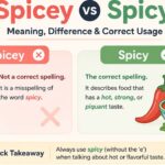 Spicey vs Spicy