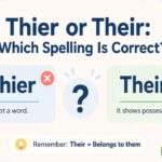 Thier or Their Which Spelling Is Correct