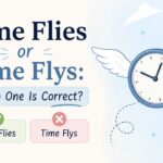 Time Flies or Time Flys Which One Is Correct