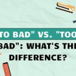 To Bad vs. Too Bad What's the Difference