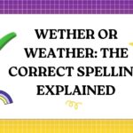 Wether or Weather The Correct Spelling Explained